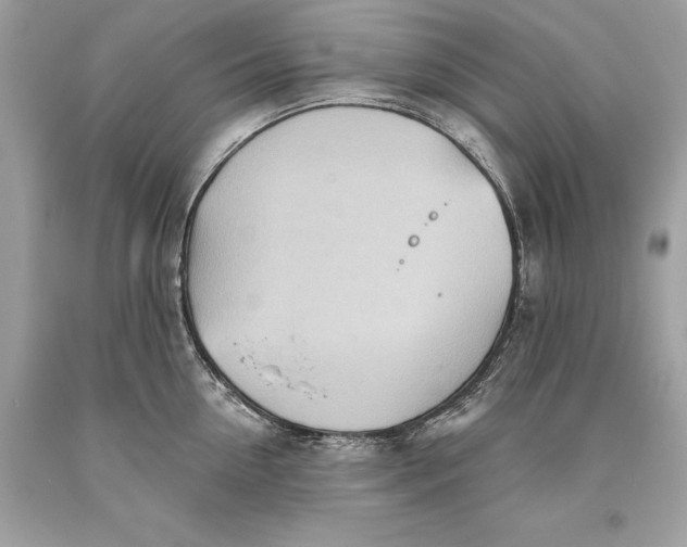 X0000093520954200710261216