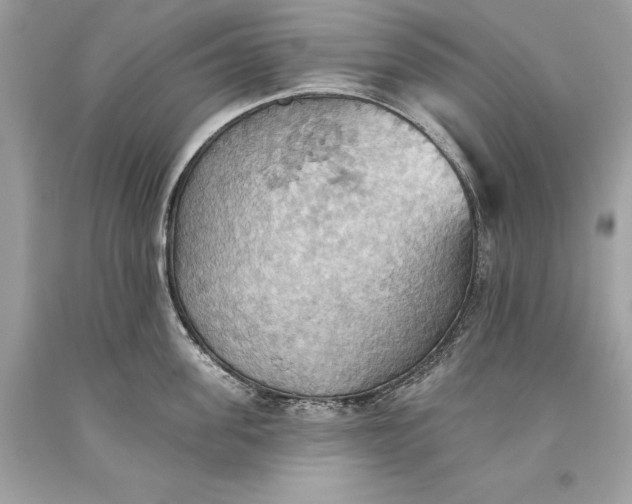 X0000093520955200710261216