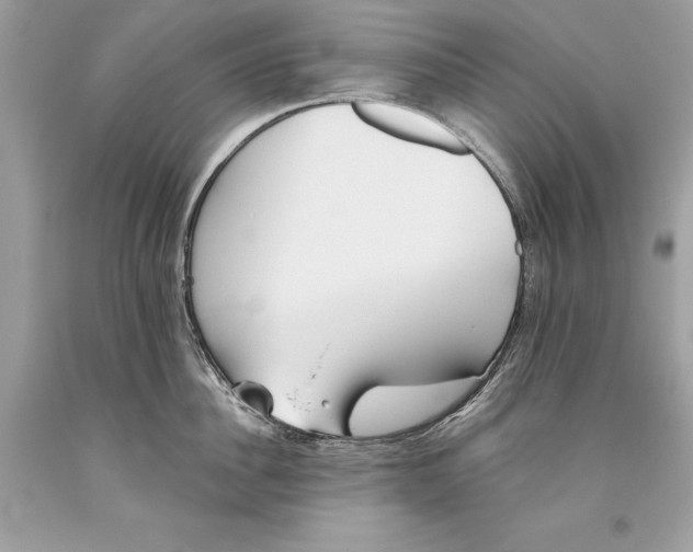 X0000093520956200710261216