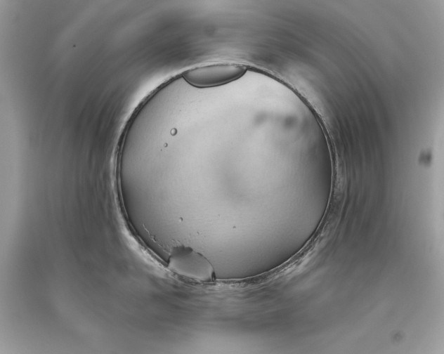 X0000093520958200710261216