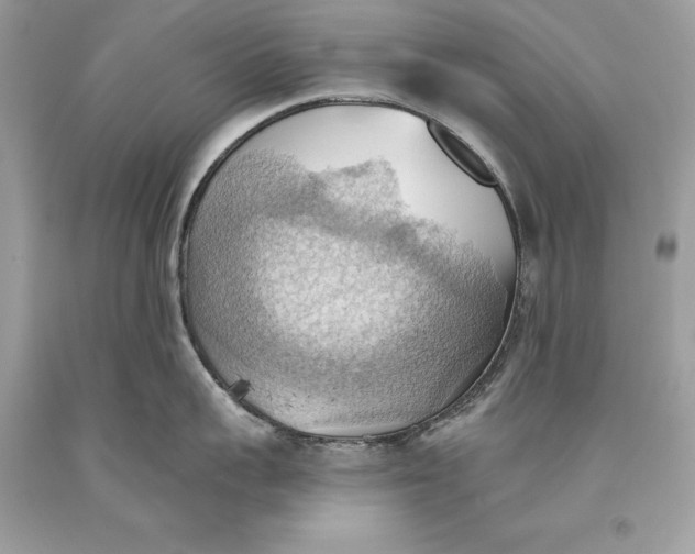 X0000093520959200710261216