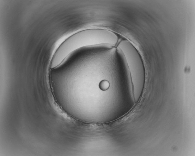 X0000093520960200710261216