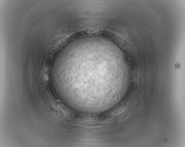 X0000093520962200710261216