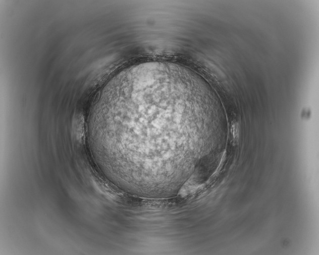 X0000093520963200710261216