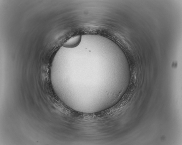 X0000093520964200710261216