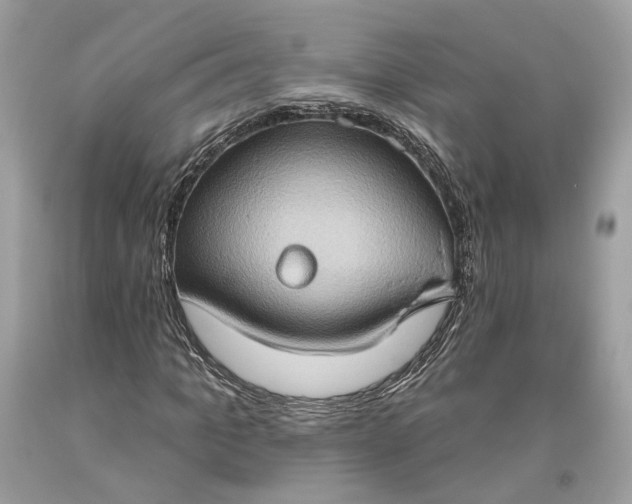 X0000093520965200710261216