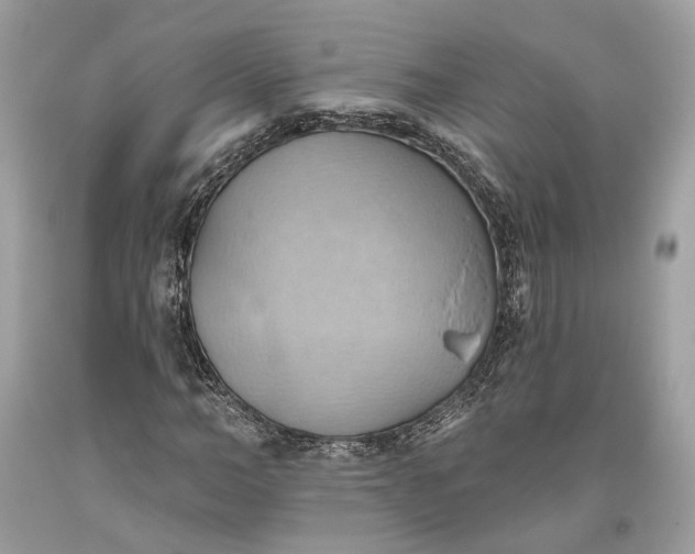 X0000093520966200710261216