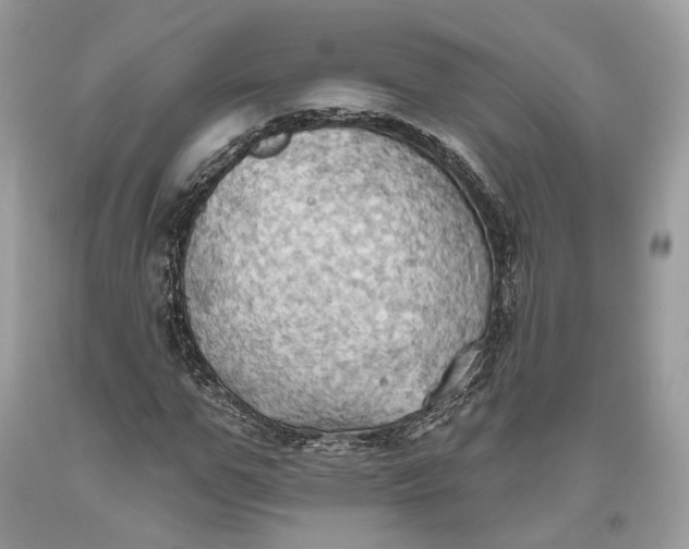 X0000093520967200710261216