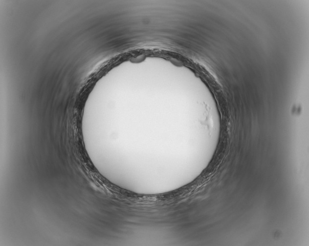 X0000093520968200710261216