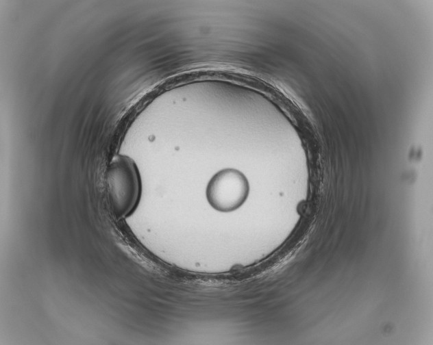 X0000093520969200710261216