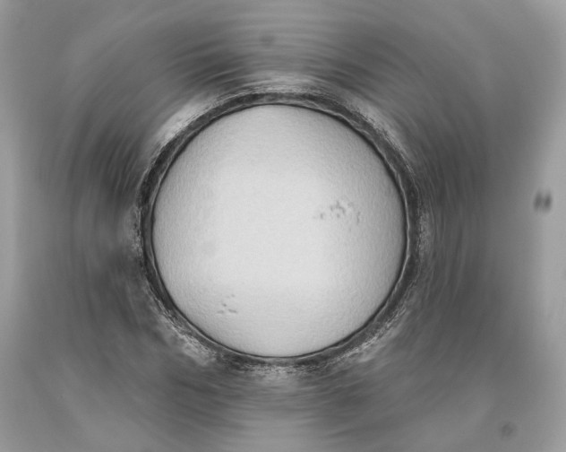 X0000093520970200710261216