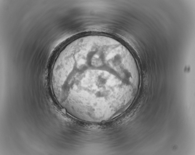 X0000093520971200710261216