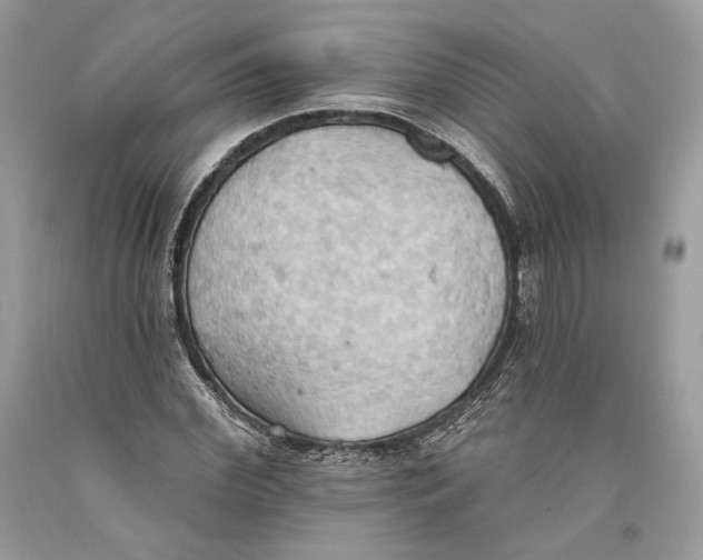 X0000093520972200710261216