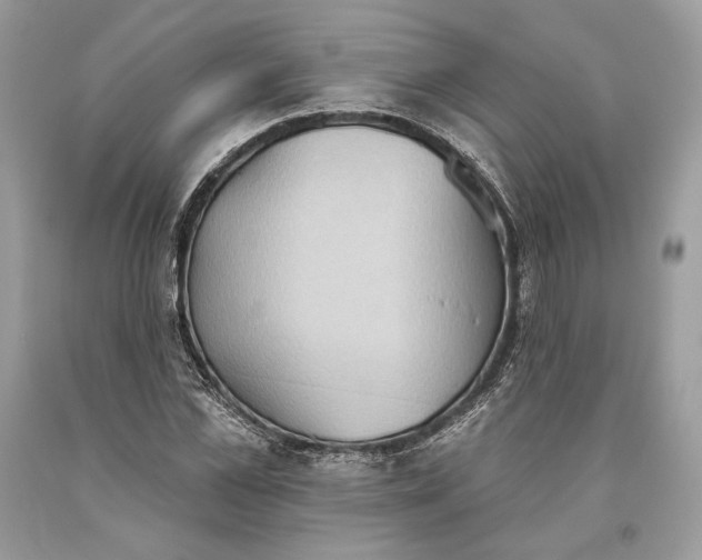 X0000093520973200710261216