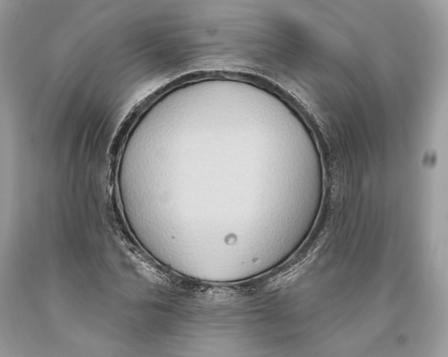 X0000093520974200710261216