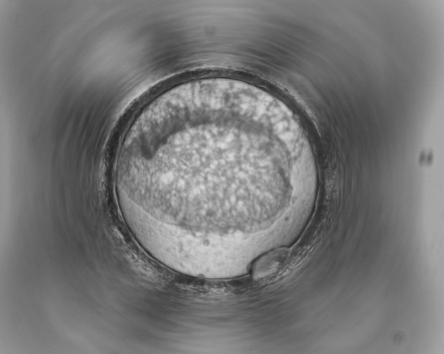 X0000093520975200710261216