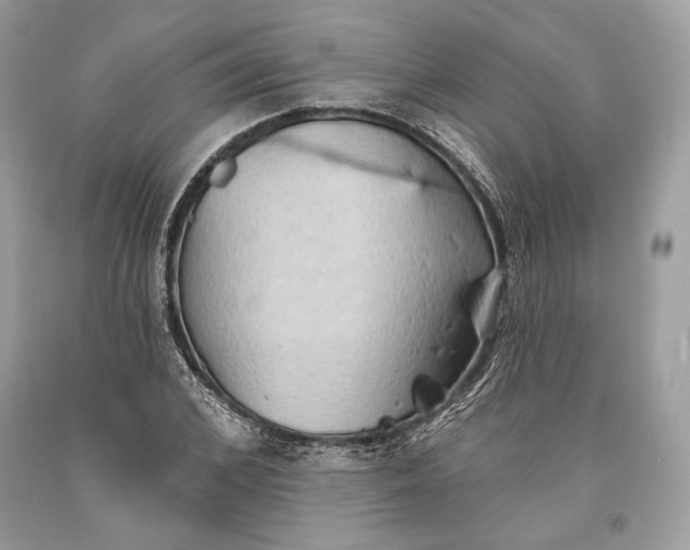 X0000093520976200710261216