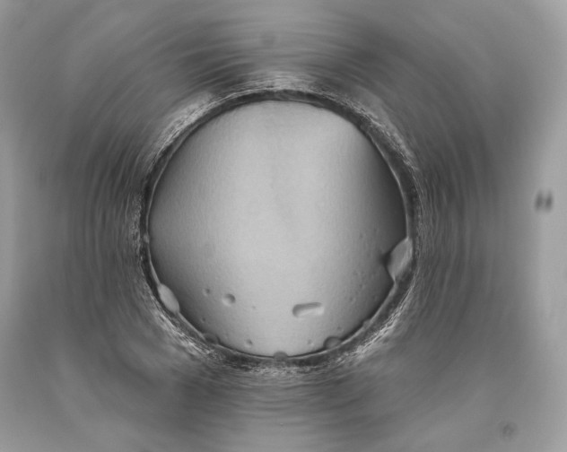 X0000093520977200710261216