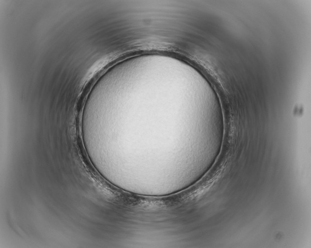 X0000093520978200710261216