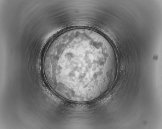 X0000093520979200710261216