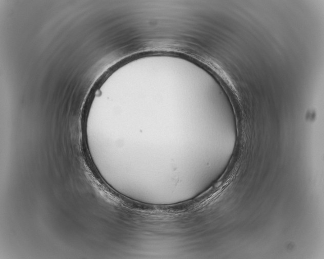 X0000093520980200710261216