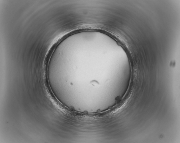 X0000093520981200710261215