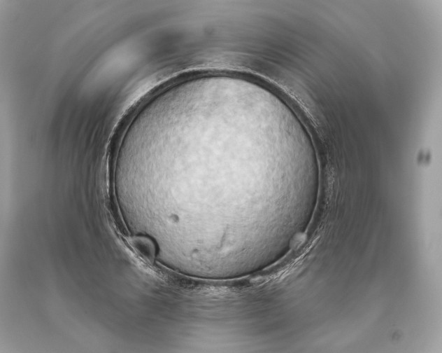 X0000093520982200710261215