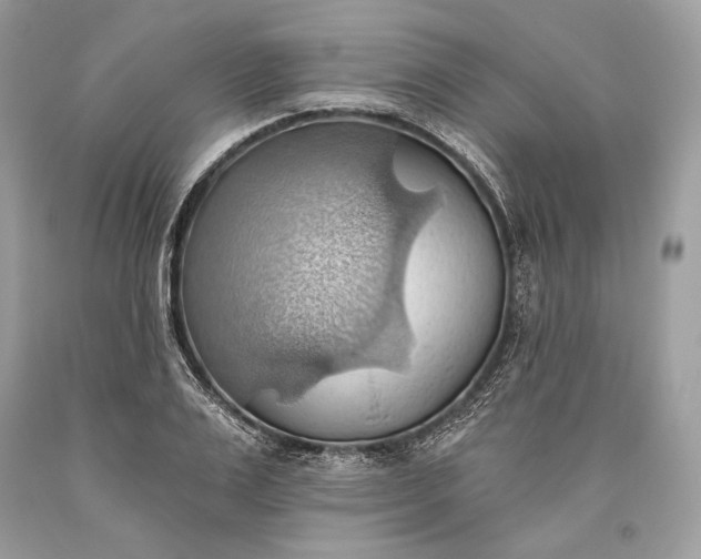 X0000093520983200710261215