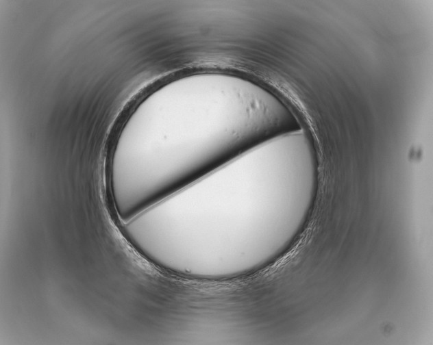 X0000093520984200710261215