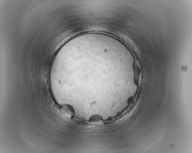 X0000093520985200710261215