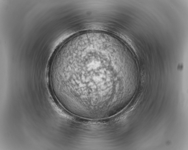 X0000093520987200710261215