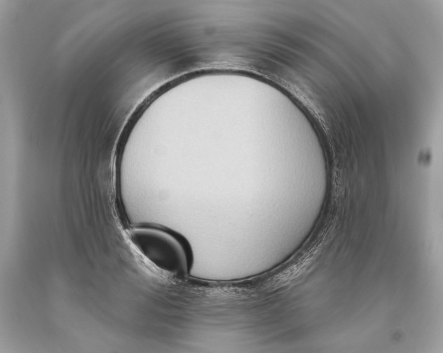 X0000093520988200710261215