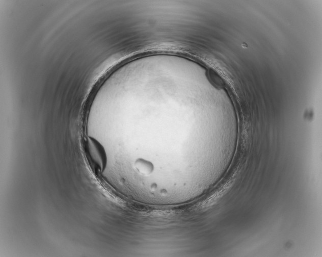 X0000093520989200710261215