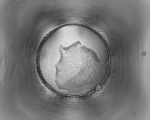 X0000093520991200710261215