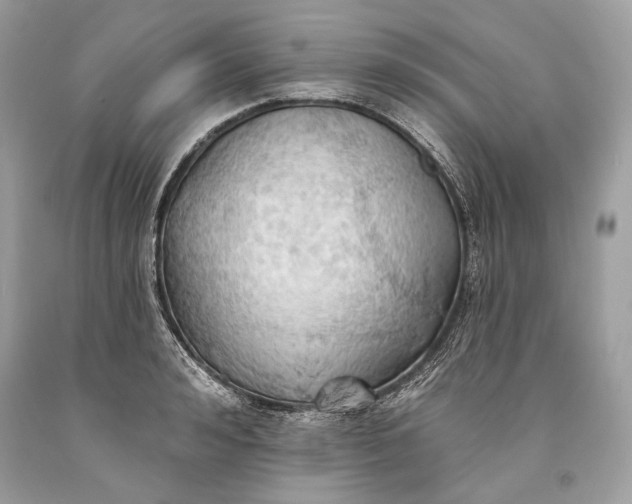 X0000093520992200710261215