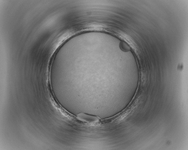 X0000093520994200710261215