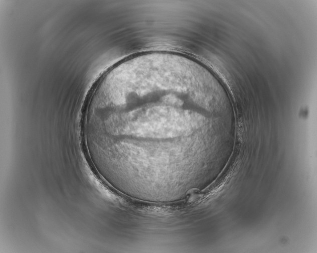 X0000093520995200710261215