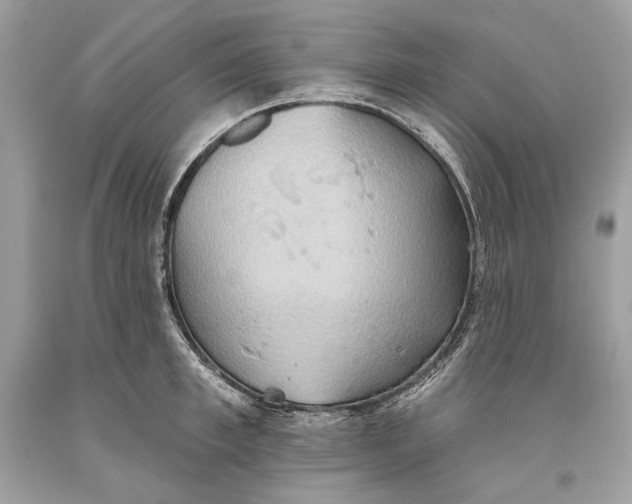 X0000093520997200710261215