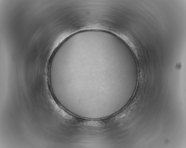 X0000093520998200710261215