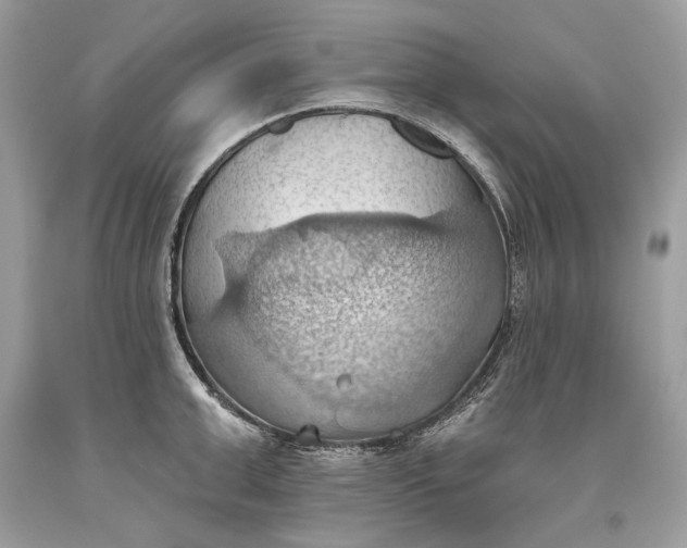 X0000093520999200710261215