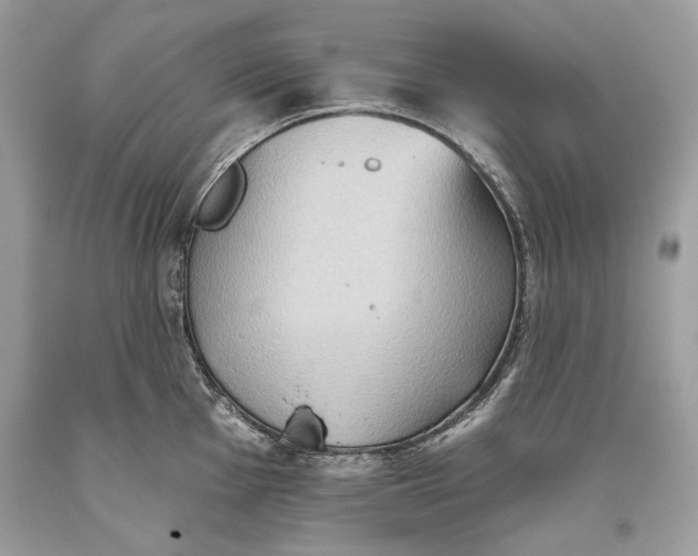 X0000093521001200710261215