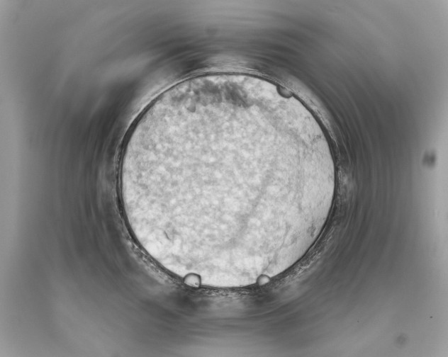 X0000093521002200710261215