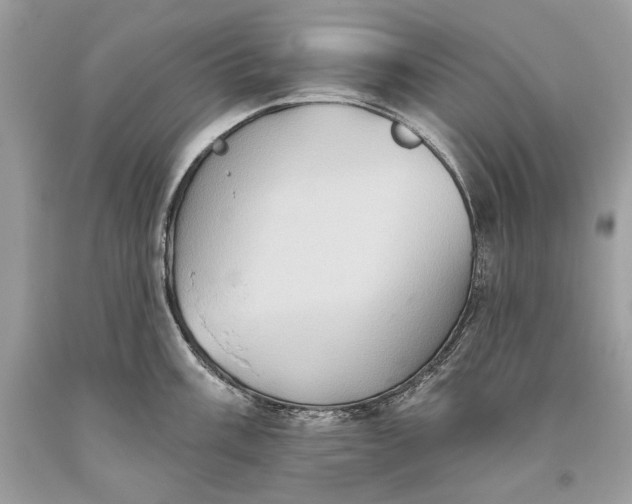 X0000093521003200710261215