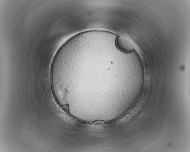 X0000093521004200710261215