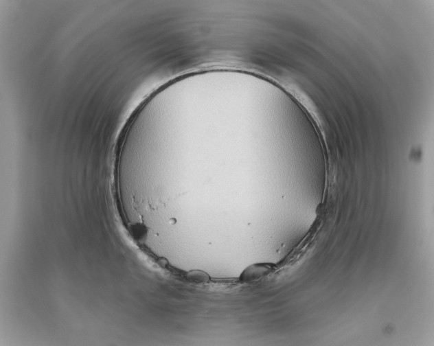 X0000093521005200710261215