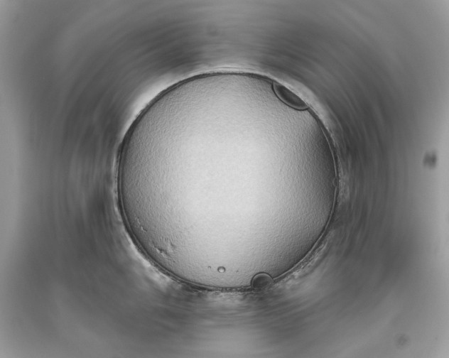 X0000093521006200710261215