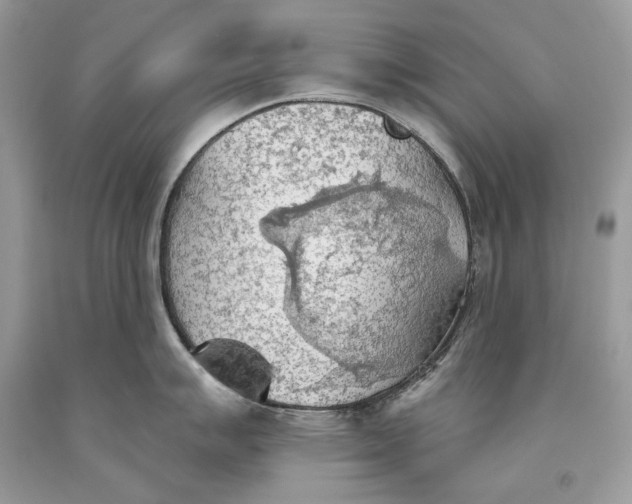 X0000093521007200710261215