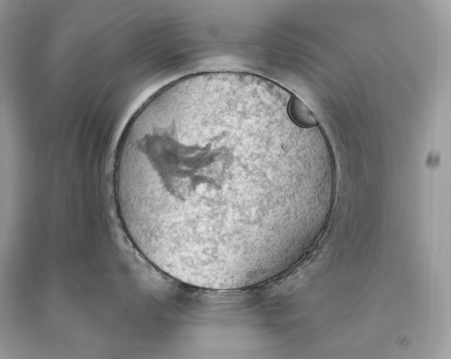 X0000093521008200710261215