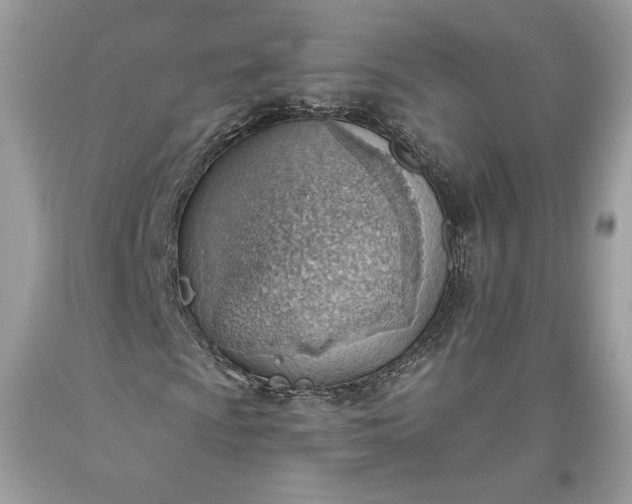 X0000093521009200710261214