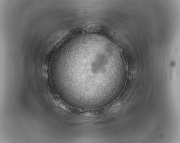 X0000093521010200710261214